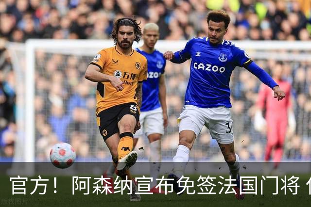 官方！阿森纳宣布免签法国门将 伊兰-梅利耶加盟披30号